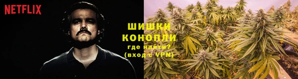 прущие крисы Богданович