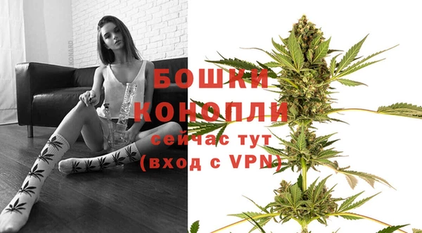 прущие крисы Богданович