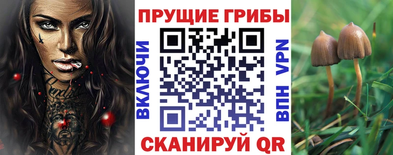 Купить закладки  Кораблино  Псилоцибиновые грибы ЛСД 